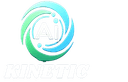 Kinetic
